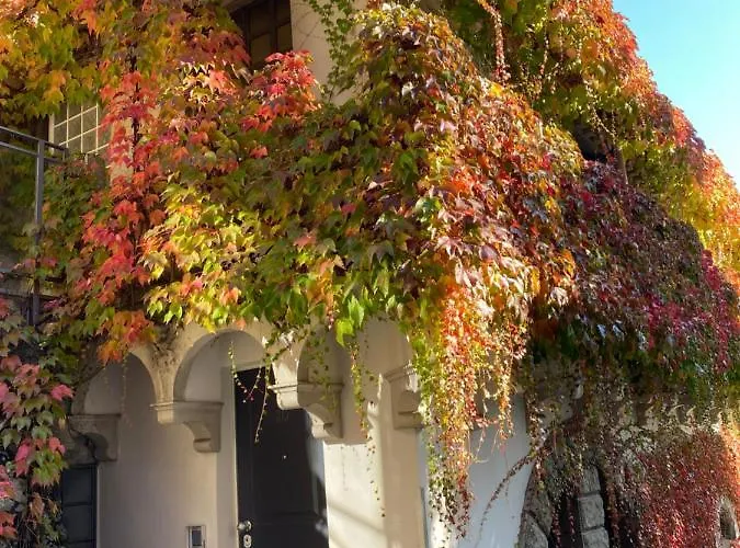 Guest house Liberty Como